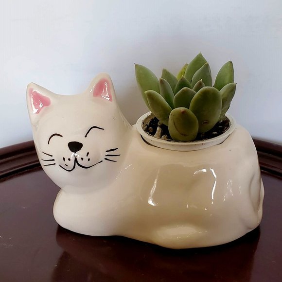 Hand Crafted Other - Cat Animal Planter with Succulent, live house plant in ceramic white Kitten Pot